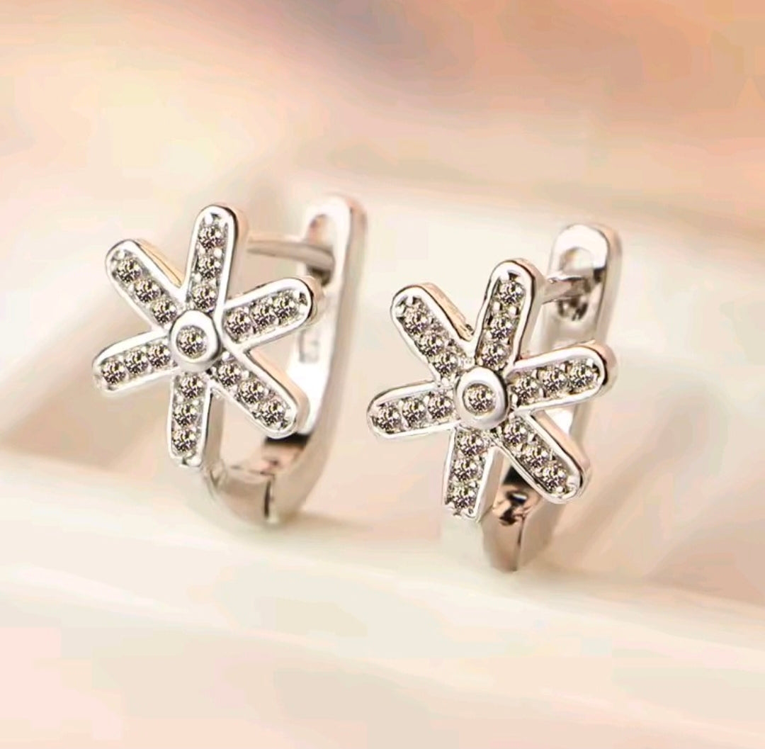 Silver Plated Earrings