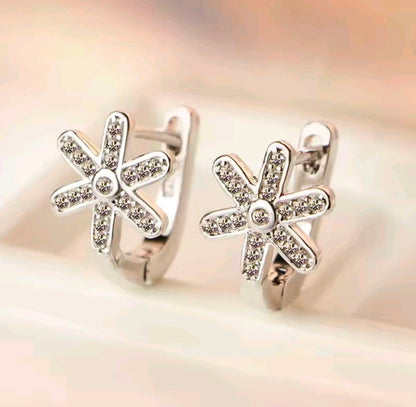 Silver Plated Earrings