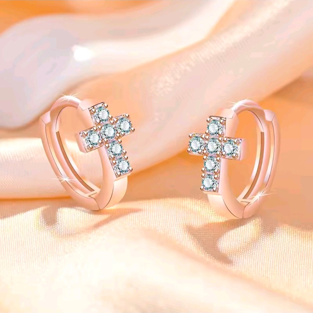 Silver Plated Earrings