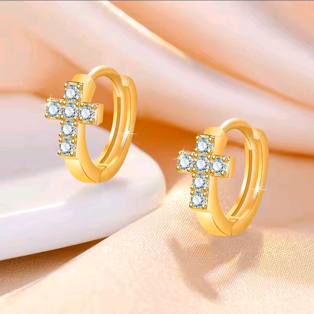 Silver Plated Earrings